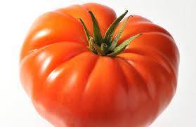 Tomate Marmande